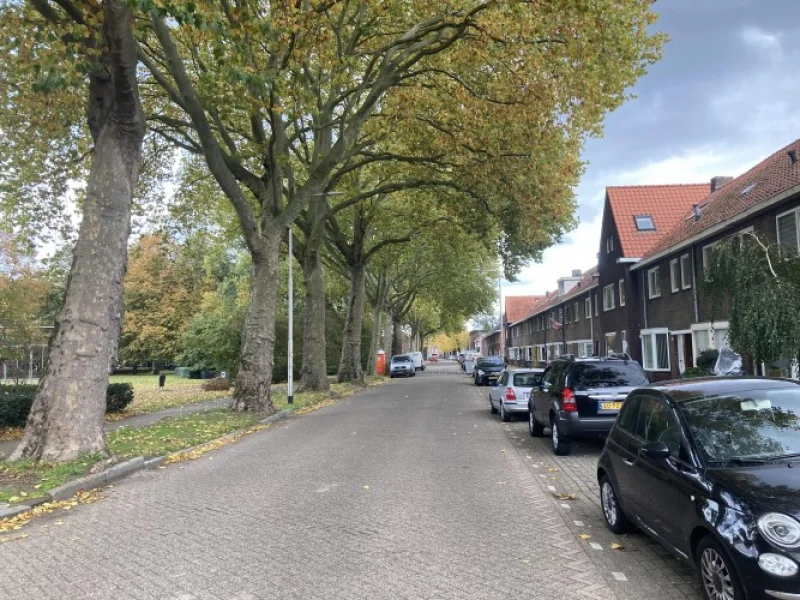 Herinrichting klimaatadaptieve buitenruimte met hemelwaterinfiltratie voor gemeente Tilburg | Cleverland